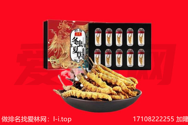 日喀则亚东回收虫草.jpg